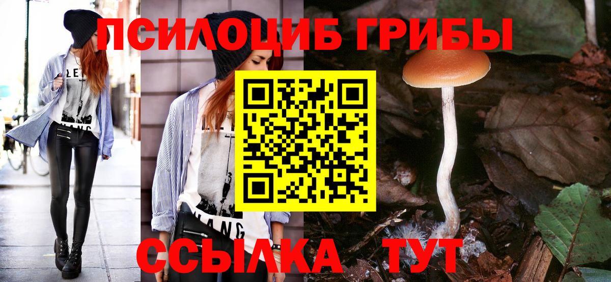 Черногорск  Псилоцибиновые грибы ЛСД  Вход с VPN 
